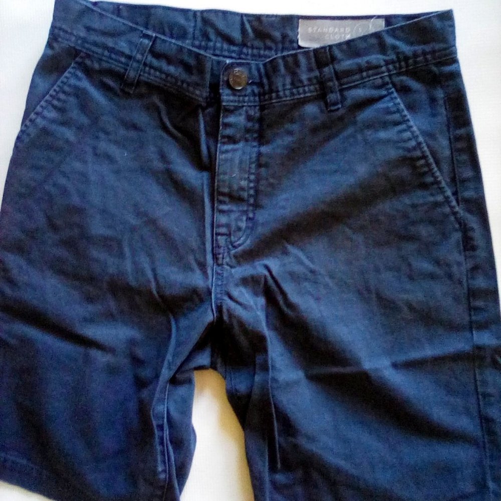 Standard Cloth shorts sz 30 Urban Outfitters BLUE